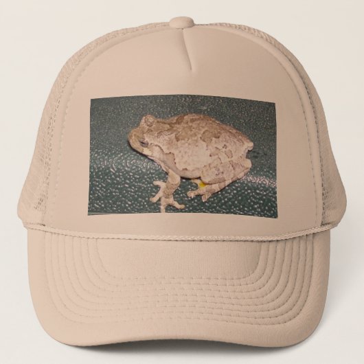 Feelin' Froggy-Pet Trucker Pet (Voorkant)