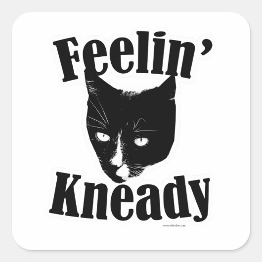 Feelin Kneady Funny Cat Cute Photo Slogan Vierkante Sticker (Voorkant)