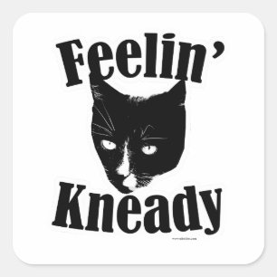 Feelin Kneady Funny Cat Vierkante Sticker