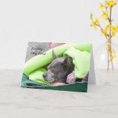 Feeling Dog Tired (Chihuahua) - Frameable Art Kaar Kaart (Gele Bloem)