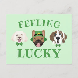 Feeling Lucky St Patricks Dag Hond Gezichten Briefkaart