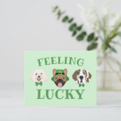 Feeling Lucky St Patricks Dag Hond Gezichten Briefkaart (Staand voorkant)
