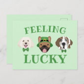 Feeling Lucky St Patricks Dag Hond Gezichten Briefkaart (Voorkant / Achterkant)