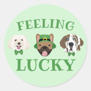 Feeling Lucky St Patricks Dag Hond Gezichten Ronde Sticker