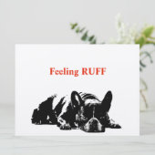 Feeling Ruff (Staand voorkant)