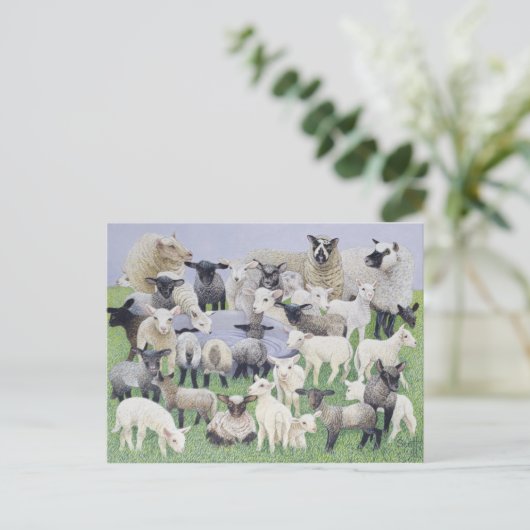 Feeling Sheepish Briefkaart (Staand voorkant)