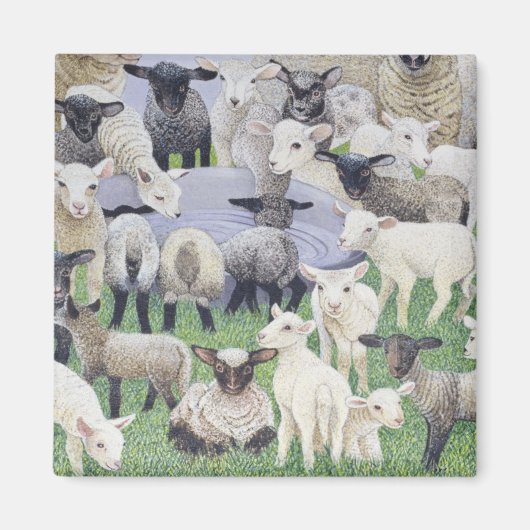 Feeling Sheepish Magneet (Voorkant)