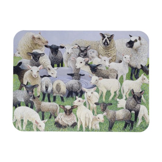 Feeling Sheepish Magneet (Horizontaal)