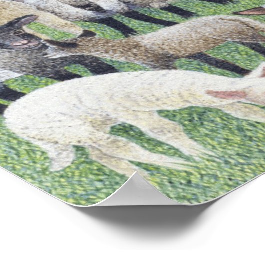 Feeling Sheepish Poster (Hoek)