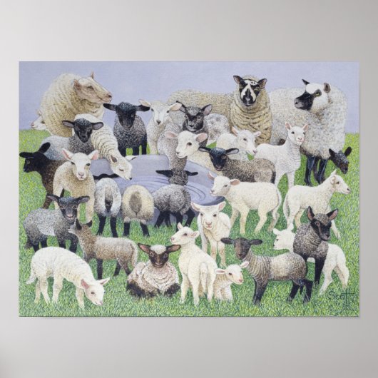 Feeling Sheepish Poster (Voorkant)