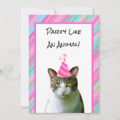 Feest als een dierenkat met feestverjaardag van he kaart (Voorkant)