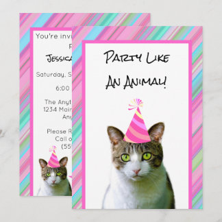 Feest als een dierenkat met feestverjaardag van he kaart