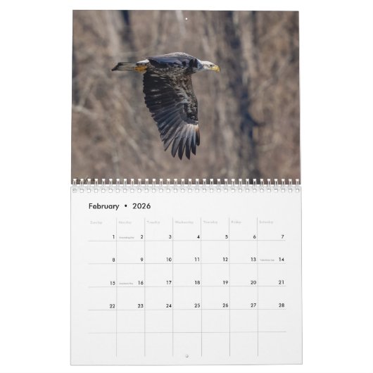 Feest dat je vrij bent 2025 Bald Eagle Kalender (Feb 2026)