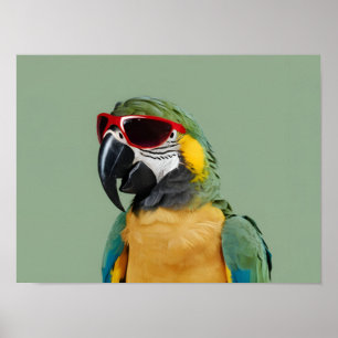 Feest Dierenpapegaai in een rode bril Poster