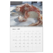 Feest door Italië Kalender (Mar 2027)