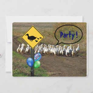Feest... eenden oversteken kaart