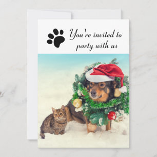Feest met ons Hond & Kat - Uitnodiging voor vakant