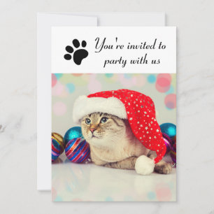 Feest Met Ons Kat - Uitnodiging Voor Vakantiefeest