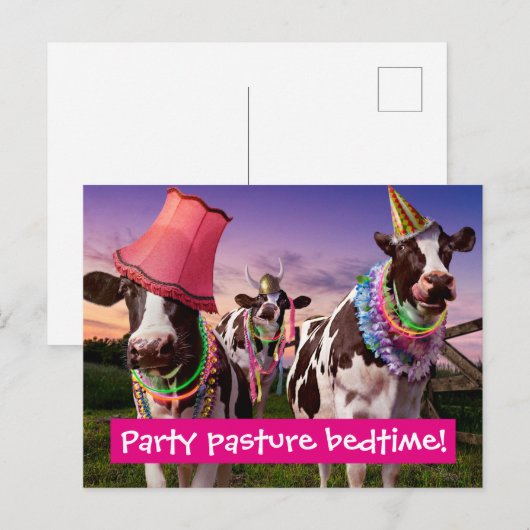 Feest tot de koeien thuis komen uitnodiging briefkaart (Voorkant / Achterkant)