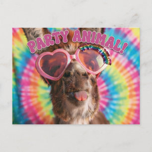 Feestbeest - Grappige Ezel met Zonnebril Briefkaart