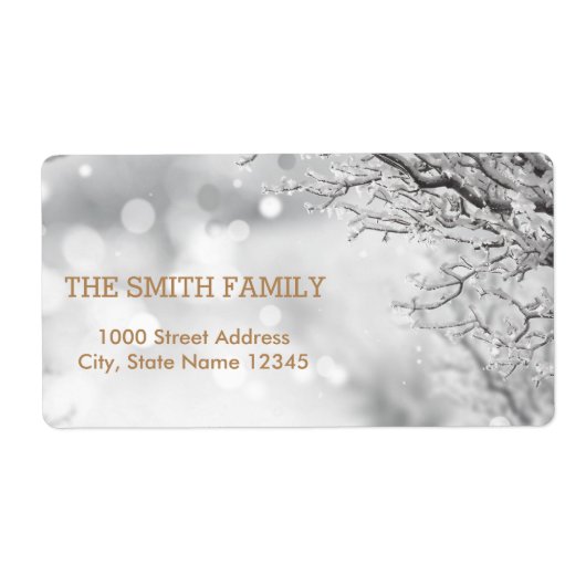 feestdag met witte sneeuw voor kerstmis etiket (Voorkant)