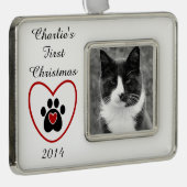  feestdag verzilverd omlijst ornament (Rechts)