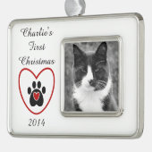  feestdag verzilverd omlijst ornament (Links)