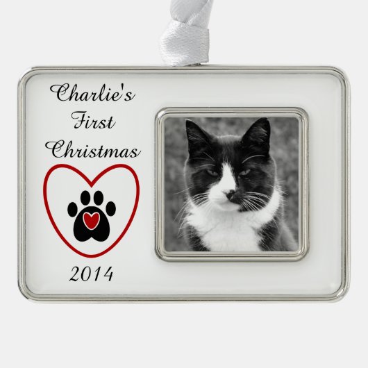  feestdag verzilverd omlijst ornament (Voorkant)