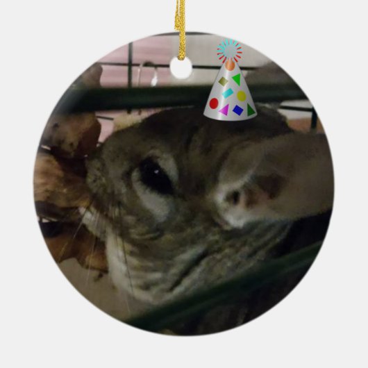 Feestdagen Chinchilla Ornament (Achterkant)