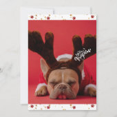Feestdagen: Kerstmis in Bulldog Cute Dog Feestdagenkaart (Voorkant)