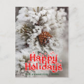 Feestdagen - Lodgepole Pine Cone bij Yellowstone (Voorkant)