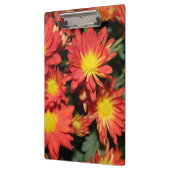  feestdagen oranje dagbloemen, bloementuin klembord (Links)