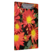  feestdagen oranje dagbloemen, bloementuin klembord (Rechts)