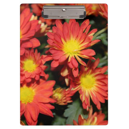  feestdagen oranje dagbloemen, bloementuin klembord