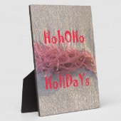 Feestdagen van het strand Collectie. Fotoplaat (Zijkant)