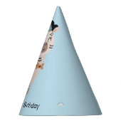 Feestdier Zebra, Verjaardag Feesthoedjes (Rechts)