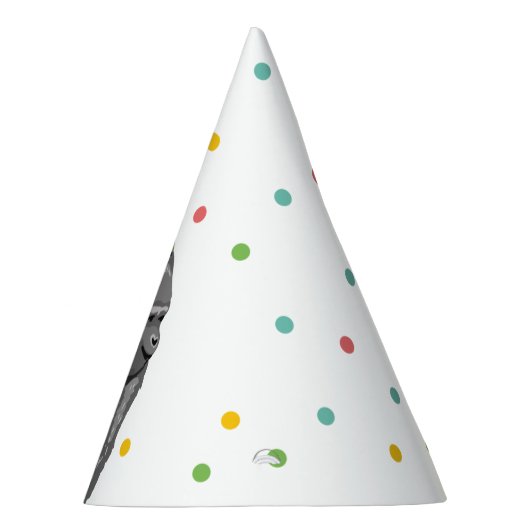 Feestdieren Safari Wild One Oerwoud Zoo Birthday Feesthoedjes (Rechts)