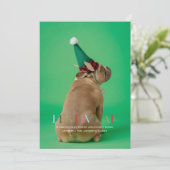 Feestelijk AF Grappige Dierentuin Foto Vakantiekaa Kaart (Staand voorkant)