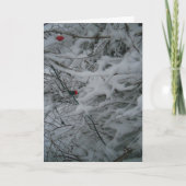 'Feestelijk Gefluffde' Kerstkaart Kaart (Voorkant)