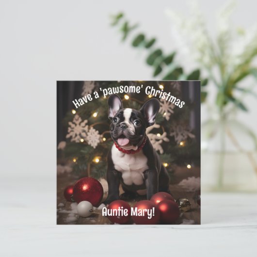  feestelijk harig duo (Staand voorkant)