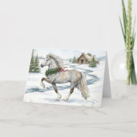 Feestelijk IJslands paard in winterlandschap