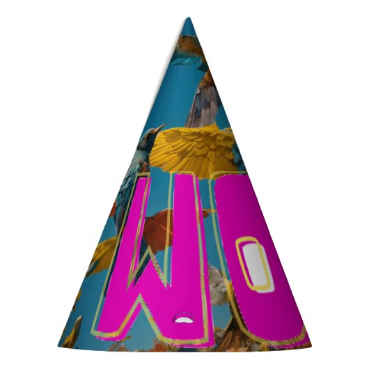 Feestelijk Pet voor feesten Feesthoedjes (Links)