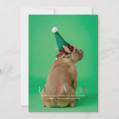 Feestelijke AF Funny Pet Photo Holiday Kaart (Voorkant)