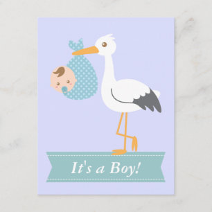 Feestelijke Baby Shower voor Jongen - Ooievaar Bez Kaart