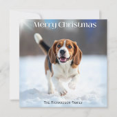 Feestelijke Beagle hond in de winter sneeuw Kerstm Feestdagenkaart (Voorkant)