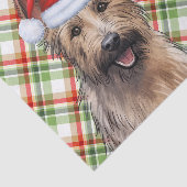 Feestelijke Berger Picard hond heeft Kerstmis gesp Tissuepapier (Detail)