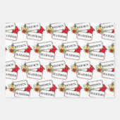 Feestelijke Biden Harris 2020 Kerstmis Inpakpapier Vel (Voorkant 2)