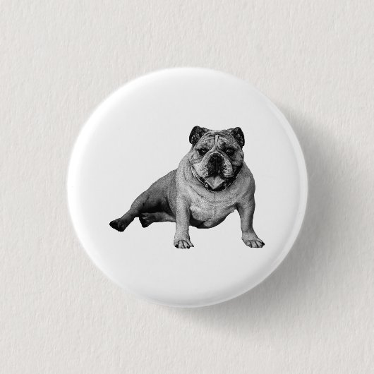 Feestelijke Bulldog Knopspeld Ronde Button 3,2 Cm (Voorkant)