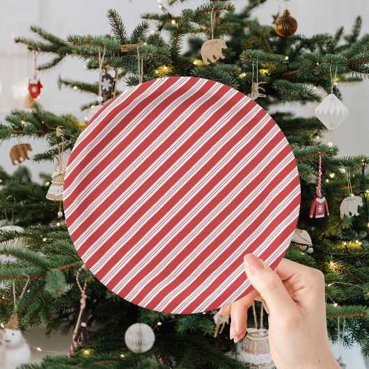 Feestelijke Candy Cane Gestreepte Kerst Rood Wit Papieren Bordje