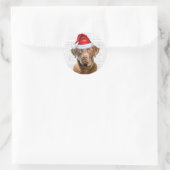 Feestelijke Chesapeake Bay Hond Woof Art Kerstmis Ronde Sticker (Tas)